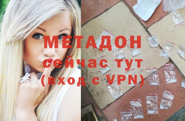 ПСИЛОЦИБИНОВЫЕ ГРИБЫ Горно-Алтайск