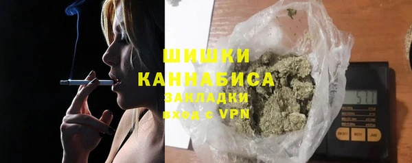 ПСИЛОЦИБИНОВЫЕ ГРИБЫ Горно-Алтайск