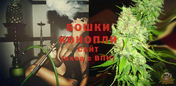 спиды Горняк