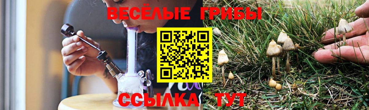 Галлюциногенные грибы ЛСД Назарово